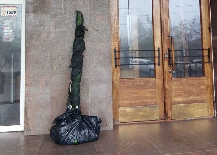 Николаевской «Могилянке» ночью вернули два украденных несколько дней назад дерева (ФОТО) 5