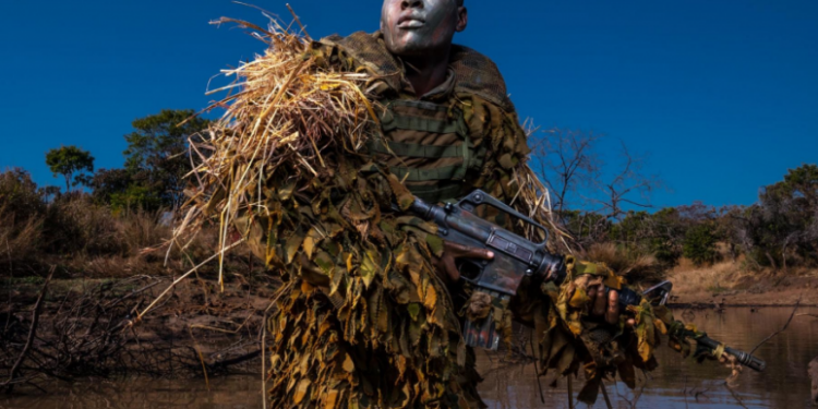 National Geographic опубликовал лучшие фото 2019 года