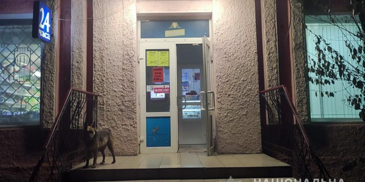 В Николаеве полиция охраны задержала пьяного дебошира – он разбил двери в магазине, в котором начался переучет (ФОТО)