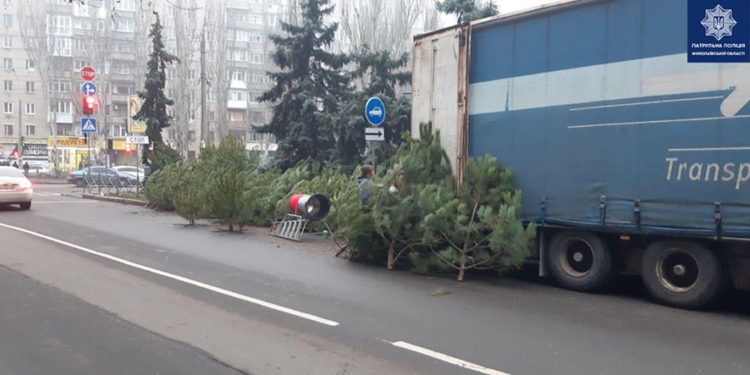 В Николаеве патрульная полиция оштрафовала торгующих елками на проезжей части и обратилась в прокуратуру