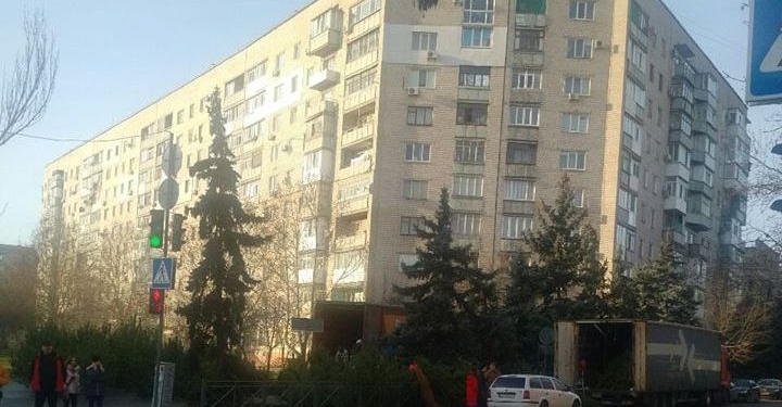 Неисправимы: в Николаеве даже после штрафа от патрульной полиции продолжают торговать елками на проезжей части (ФОТО)