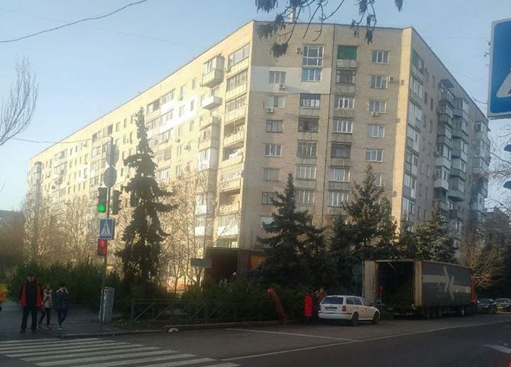 Неисправимы: в Николаеве даже после штрафа от патрульной полиции продолжают торговать елками на проезжей части (ФОТО) 1