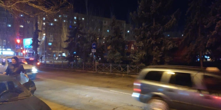 Конец истории: в Николаеве на проезжей части елками торговать уже не будут – предпринимателю нашли другое место