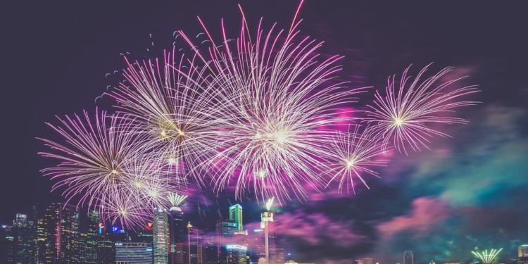 В эстонском городе отказались от фейерверка в новогоднюю ночь – чтобы не травмировать животных