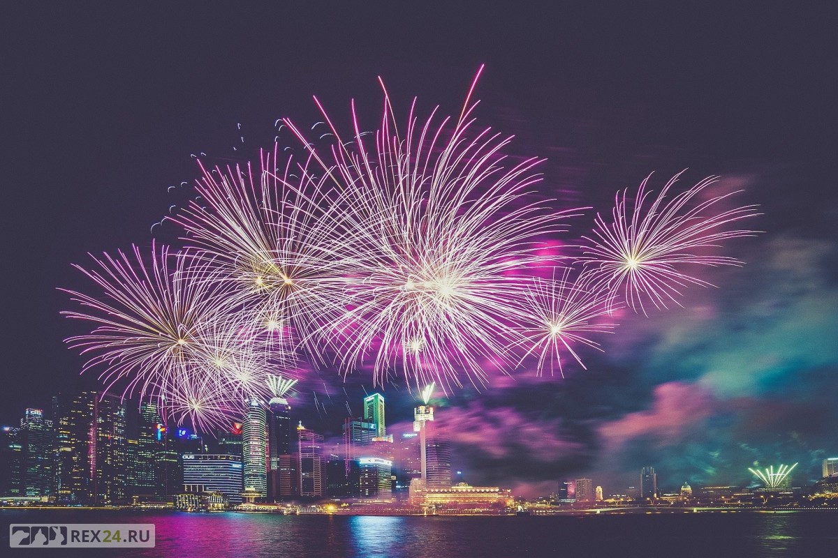 В эстонском городе отказались от фейерверка в новогоднюю ночь – чтобы не травмировать животных