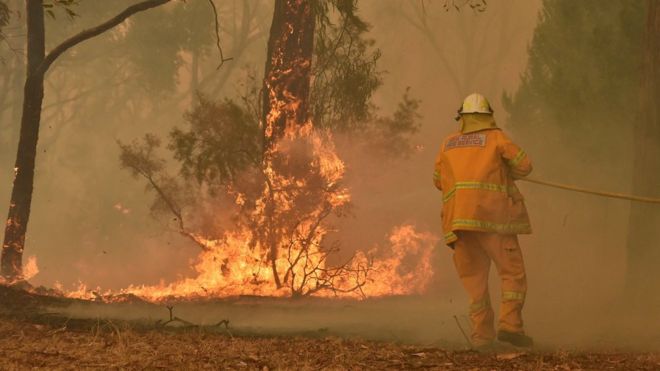 Лесные пожары в Австралии: сгорел небольшой городок (ВИДЕО) 1