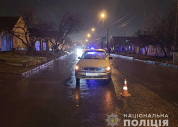 В Николаеве 75-летний водитель сбил пешехода преклонного возраста