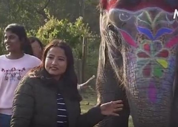 В Непале выбрали самого красивого слона (ВИДЕО)