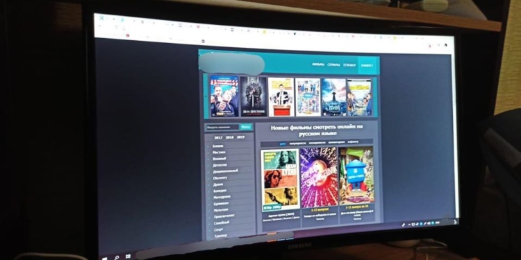 Житель Николаева создал и администрировал три онлайн-кинотеатра – киберполиция закрыла его «бизнес» (ФОТО)