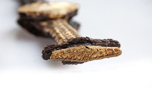 В Запорожье реставрировали скифский акинак, датированный VI веком, найденный летом на Мамай-горе (ФОТО)