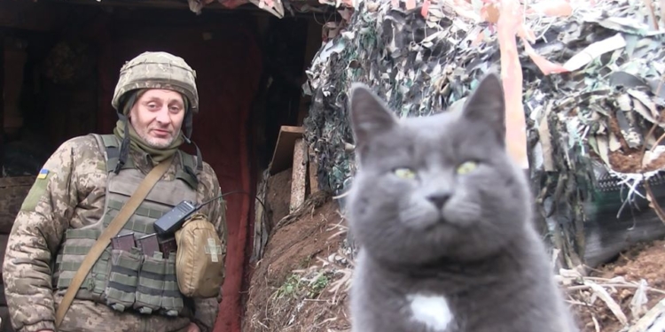 В прошлые годы боевики «поздравляли» из минометов: чего ждут от новогодней ночи наши защитники в зоне ООС (ФОТО, ВИДЕО)