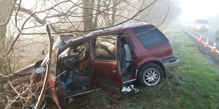 На Николаевщине в ДТП погибла пассажир легковушки (ФОТО)