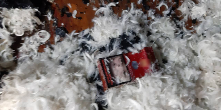 В Николаевской области за минувшие сутки на пожарах погибло двое граждан (ФОТО)