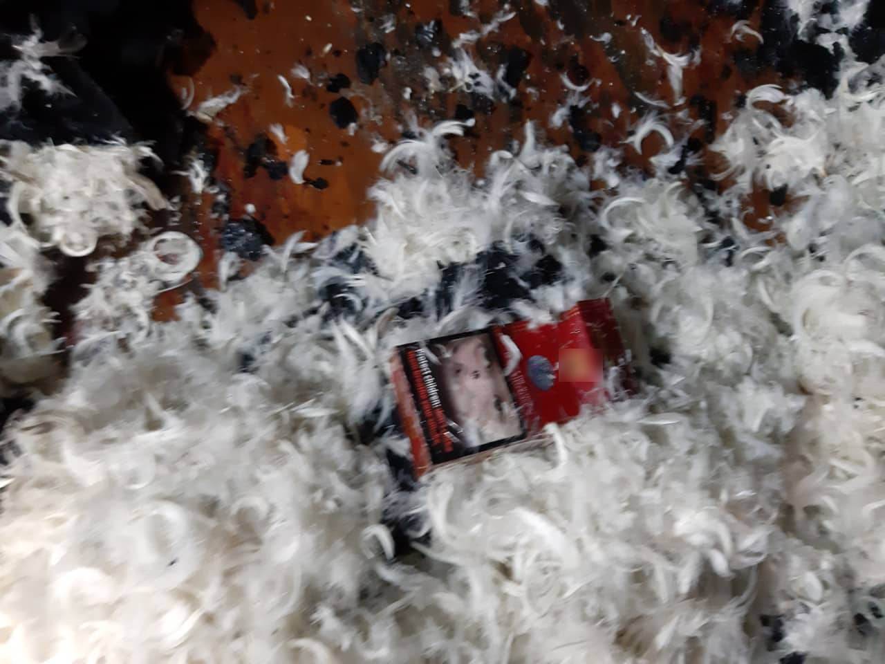 В Николаевской области за минувшие сутки на пожарах погибло двое граждан (ФОТО)