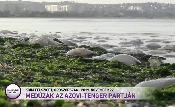 Украина отреагировала на ТВ-сюжет с “российским” Крымом в Венгрии