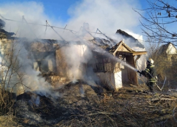 На Николаевщине потушили тростниковую крышу жилого дома (ФОТО)