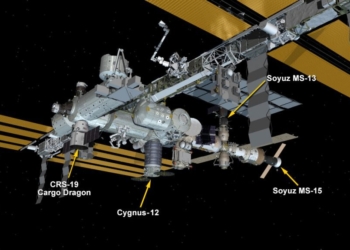 Космический грузовик Cargo Dragon успешно состыковался с МКС