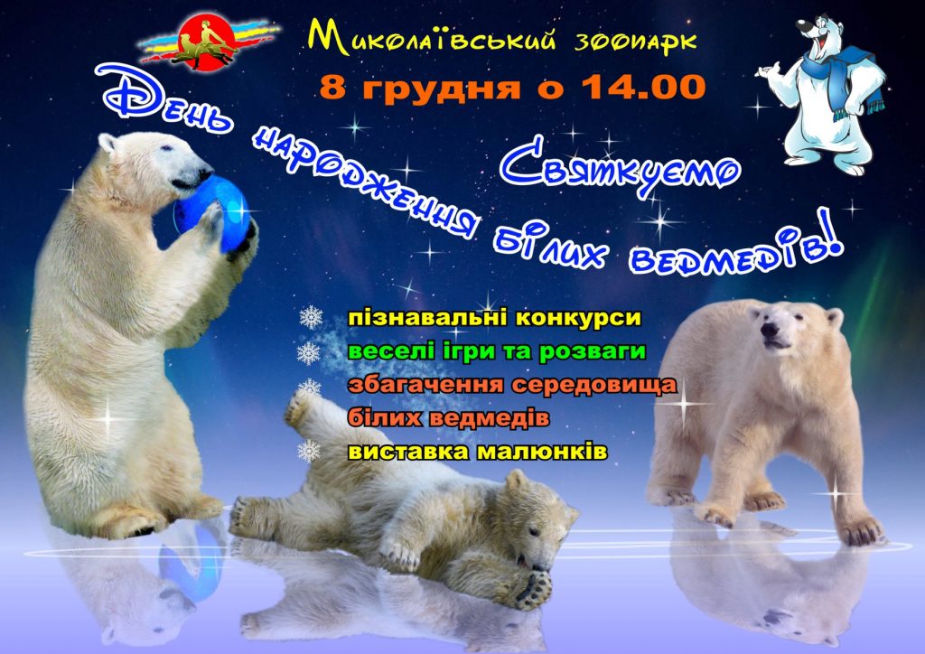 Николаевский зоопарк приглашает вместе отметить День рождения белых медведей 1