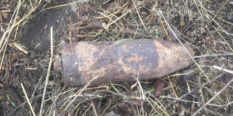 На Николаевщине мужчина копал огород и обнаружил артиллерийский снаряд (ФОТО)