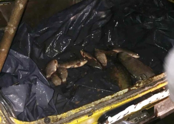 Николаевская полиция вместе с рыбоохраной поймали браконьера на Южному Буге с сетками и уловом (ФОТО)