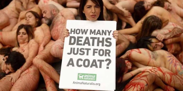 Кровавое месиво. В Барселоне прошла жуткая акция в защиту животных (ФОТО, ВИДЕО)