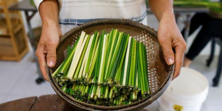 За зеленую планету. Во Вьетнаме придумали, чем заменить пластиковые трубочки