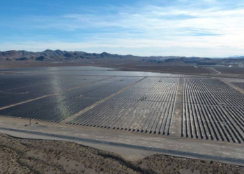 Природа подсказала. Ученые придумали самоочищающиеся солнечные панели – ради КПД