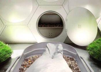 Не кремацией единой: в США запустят первый завод по переработке людей в компост (ФОТО)