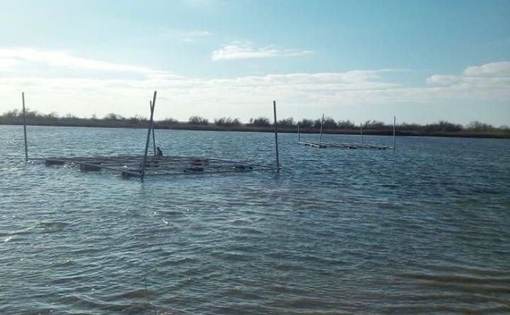 В НПП «Білобережжя Святослава» на Кинбурне установили два плавучих искусственных островка для птиц (ФОТО)