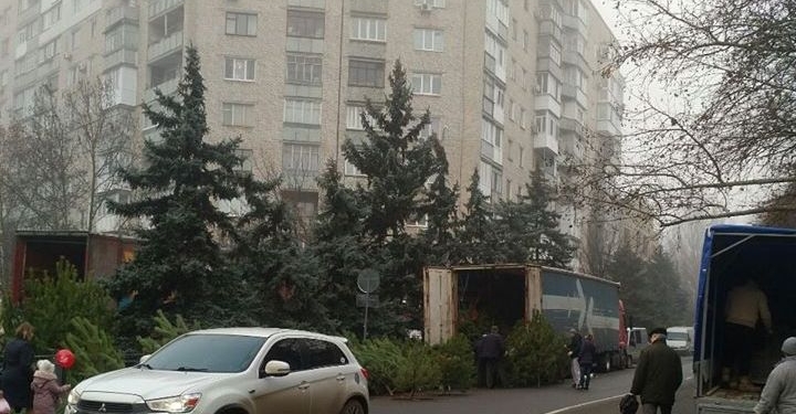 В Николаеве елками торгуют прямо на проезжей части – полиция не реагирует (ФОТО)