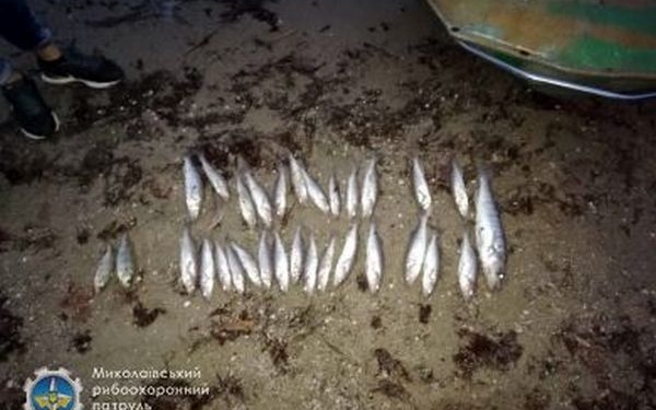 На Николаевщине суд вынес решение по браконьеру – за вылов краснокнижной рыбы «добытчик» заплатит свыше 19 тыс.грн. штрафа