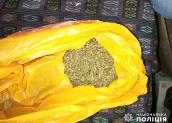 На Николаевщине полицейские изъяли у жителя Новобугского района свыше 1 кг конопли (ФОТО)