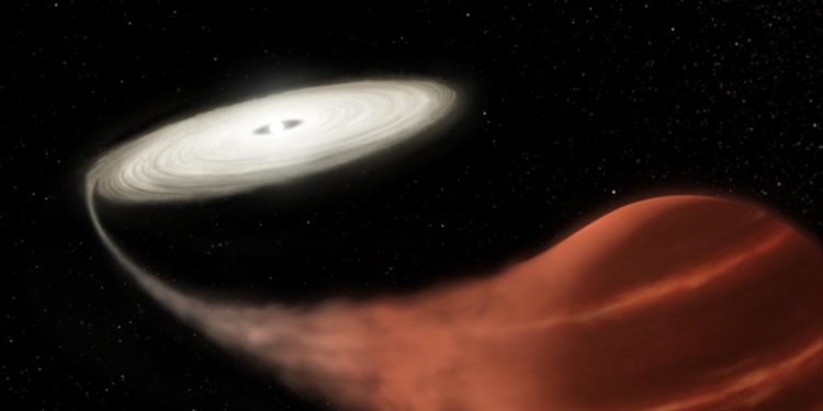 Телескоп NASA «рассмотрел» «звезду-вампира» (ФОТО)