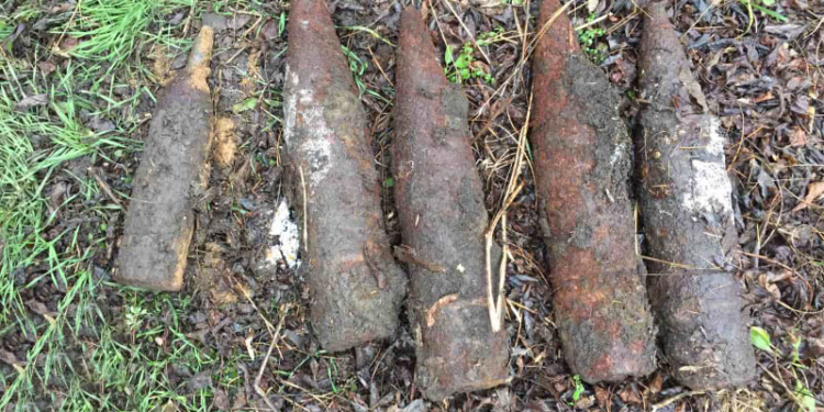 В Николаевской области пиротехники ГСЧС обезвредили 5 артиллерийских снарядов