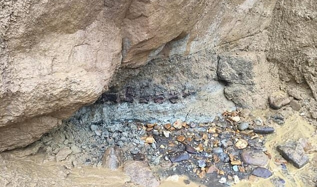 На британском острове нашли хвост жившего 125 миллионов лет назад динозавра (ФОТО)