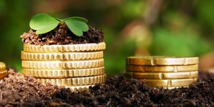 Сільгоспвиробники Миколаївщини отримали 57 млн.грн. підтримки від держави