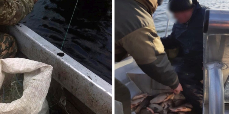 С начала года Николаевский рыбоохранный патруль уничтожил 2 км браконьерских сетей (ВИДЕО)