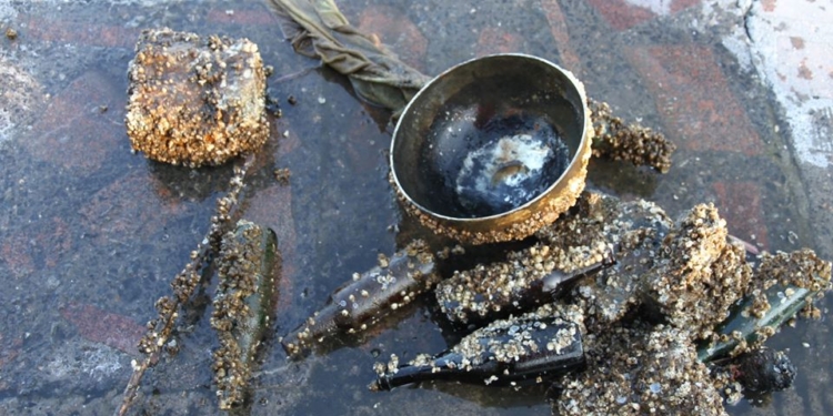 Не изумруды и рубины, а бутылки, шины и кастрюля: в Николаеве водолазы почистили дно в месте массового купания горожан на Крещение (ФОТО)