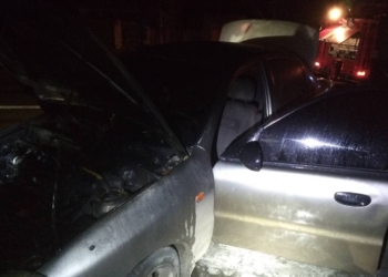 В Вознесенске в первый вечер нового года горел автомобиль (ФОТО)