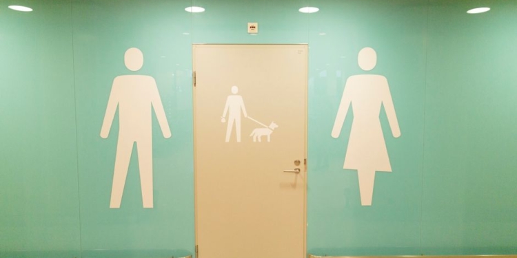 Все, как у людей: в аэропорту Хельсинки появились специальные туалеты для собак (ФОТО)