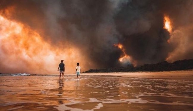 Австралии потребуется 100 лет для восстановления после пожаров