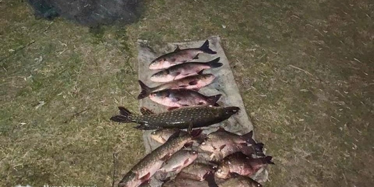 У села Себино Николаевский рыбоохранный патруль поймал браконьеров с 11 кг рыбы (ФОТО)