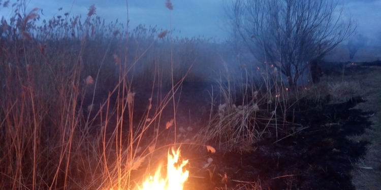 За минувшие сутки на Николаевщине шесть раз горели камыши (ФОТО)