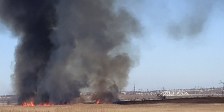 В Николаеве на Аляудах мощный пожар: горит камыш