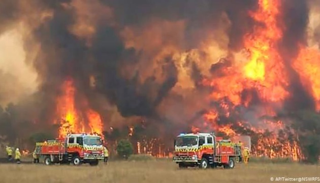 Лесные пожары в Австралии приближаются к Сиднею 1
