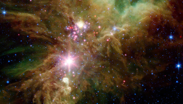 NASA показало космическую Рождественскую елку (ФОТО)