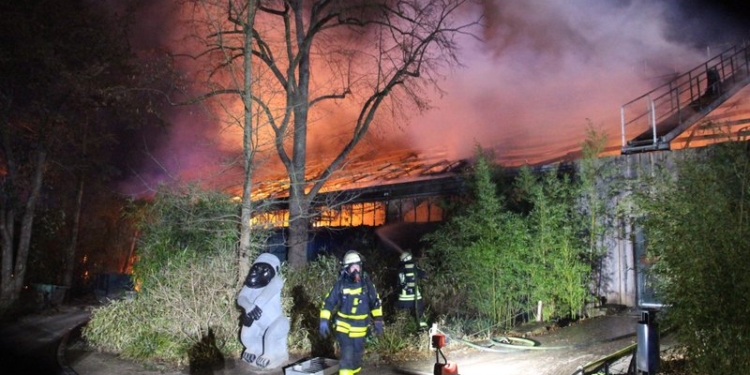 В немецком зоопарке сгорел обезьянник, погибли около 30 животных