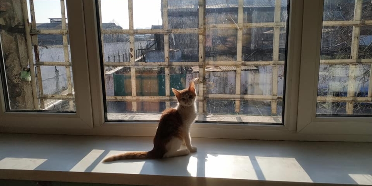 Министр юстиции не понимает, почему в СИЗО запрещены игровые приставки (ФОТО)