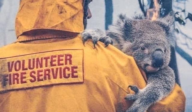 Дождь вызвал ликование в охваченной лесными пожарами Австралии (ФОТО, ВИДЕО)