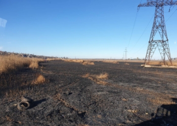 Вчерашний пожар камыша на Аляудах: пожарные считают, что был поджог